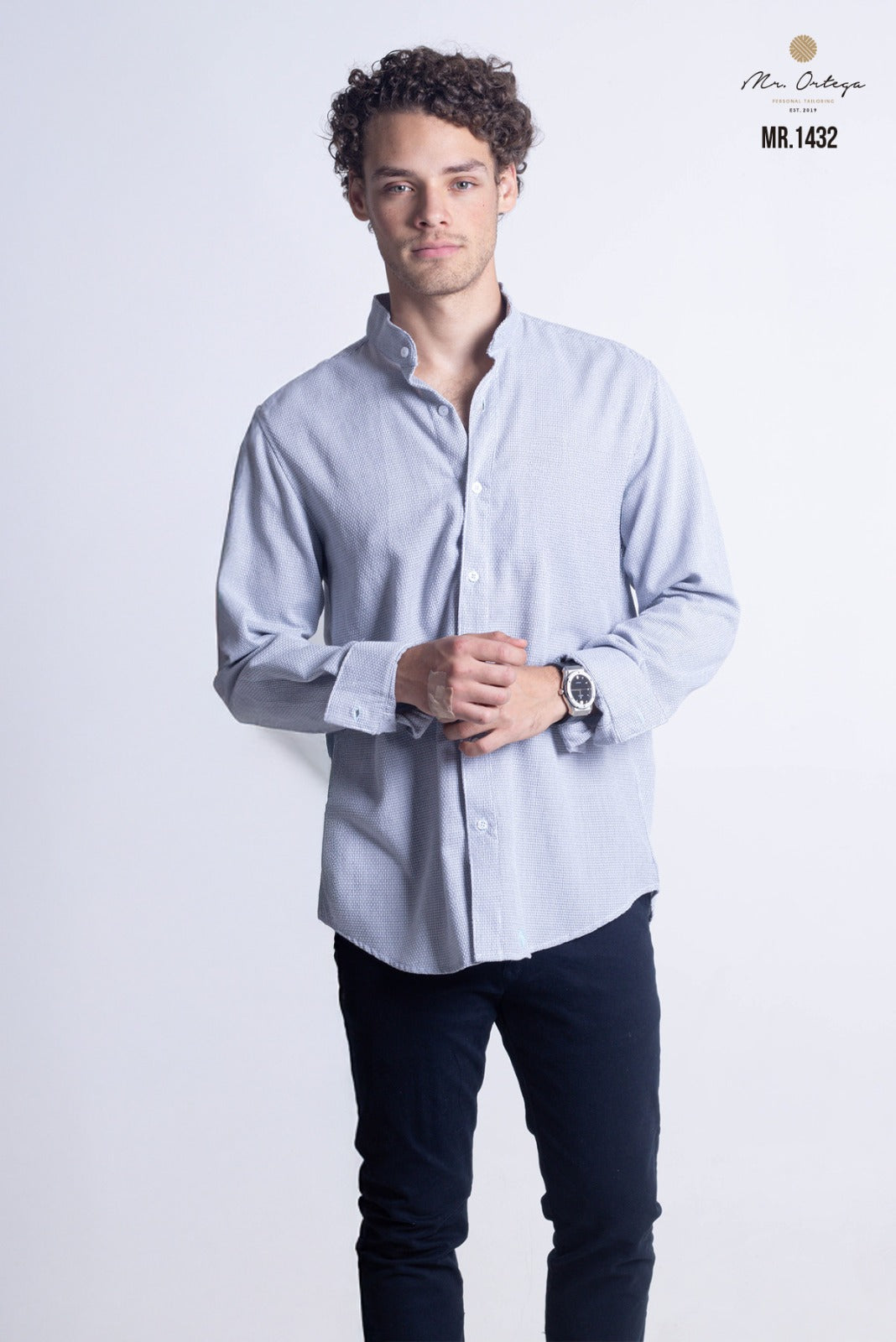 Camisa Mr Ortega lisa gris
